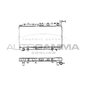 101391 AUTOGAMMA