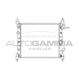 105986 AUTOGAMMA