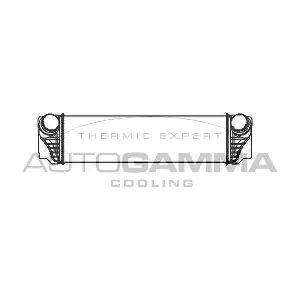 105331 AUTOGAMMA