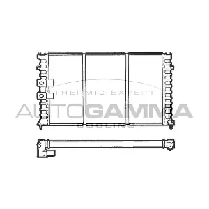 100206 AUTOGAMMA