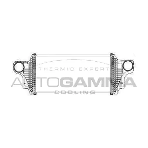 105725 AUTOGAMMA