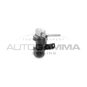 106218 AUTOGAMMA