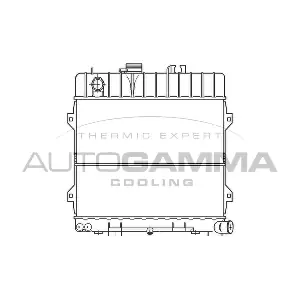 100113 AUTOGAMMA