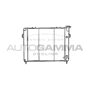 100443 AUTOGAMMA