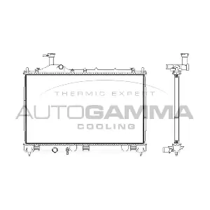 107893 AUTOGAMMA