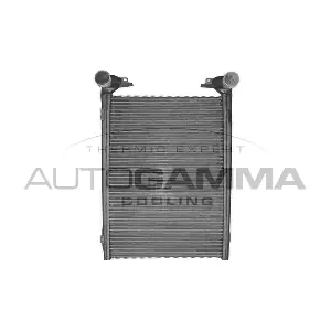 402096 AUTOGAMMA