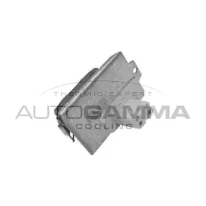 GA15267 AUTOGAMMA