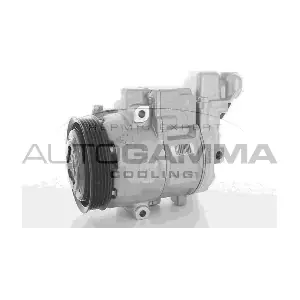 118542 AUTOGAMMA