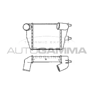 101849 AUTOGAMMA