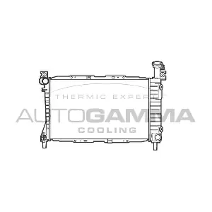 AUTOGAMMA 101429 Радіатор, система охолодження двигуна