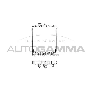 102113 AUTOGAMMA