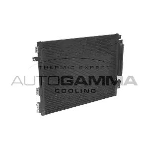 107880 AUTOGAMMA