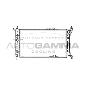 102217 AUTOGAMMA