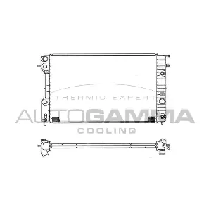 102251 AUTOGAMMA