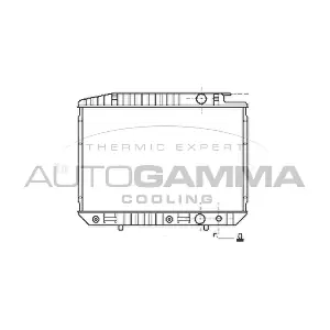 100561 AUTOGAMMA