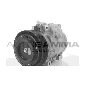 118422 AUTOGAMMA