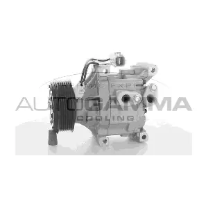118409 AUTOGAMMA