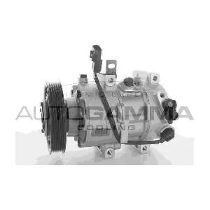 118488 AUTOGAMMA