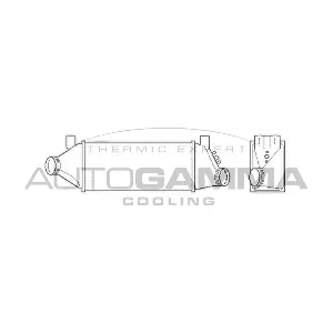 103430 AUTOGAMMA