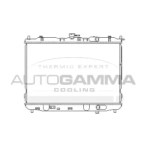 104173 AUTOGAMMA