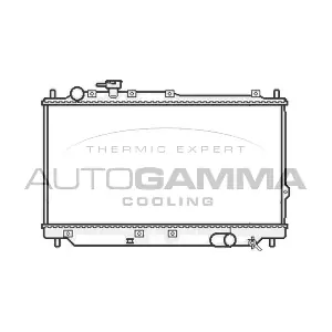 105800 AUTOGAMMA