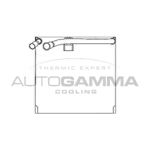 112209 AUTOGAMMA