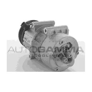 108665 AUTOGAMMA