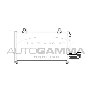 102557 AUTOGAMMA