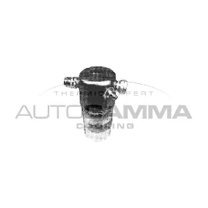 106081 AUTOGAMMA