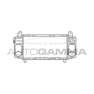 102999 AUTOGAMMA