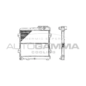 100115 AUTOGAMMA