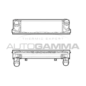 107301 AUTOGAMMA
