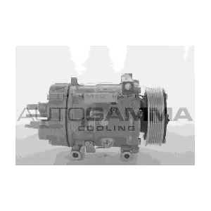 AUTOGAMMA 118570