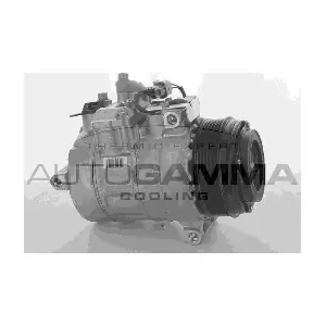 118583 AUTOGAMMA