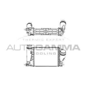 107666 AUTOGAMMA