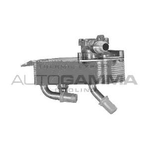 107013 AUTOGAMMA