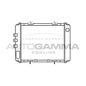 100651 AUTOGAMMA