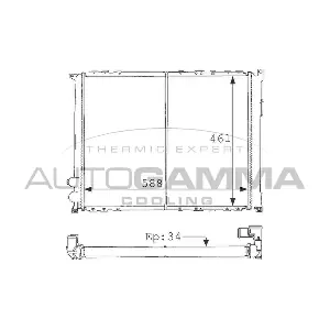 100908 AUTOGAMMA
