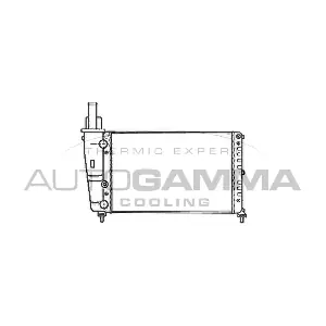 102066 AUTOGAMMA