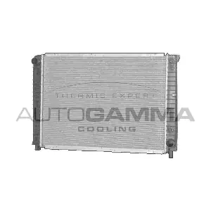 102386 AUTOGAMMA