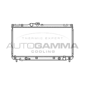 107063 AUTOGAMMA