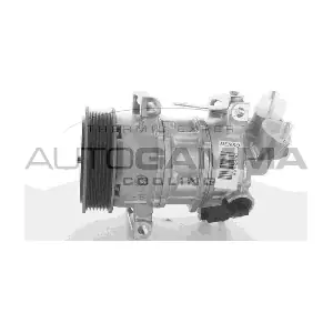 108918 AUTOGAMMA