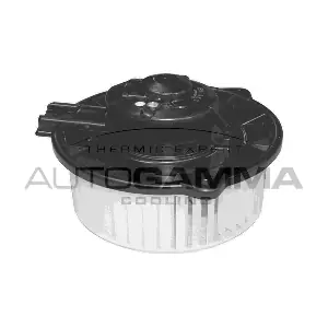 GA20801 AUTOGAMMA