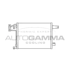 107021 AUTOGAMMA