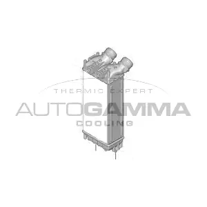 105528 AUTOGAMMA