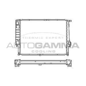 100129 AUTOGAMMA