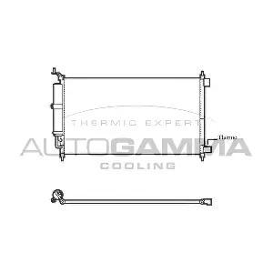 105869 AUTOGAMMA