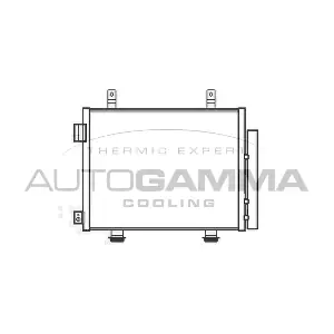105973 AUTOGAMMA