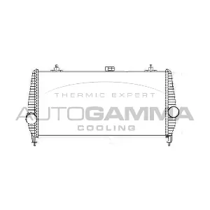 105238 AUTOGAMMA
