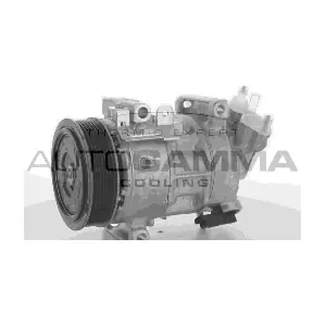 118429 AUTOGAMMA